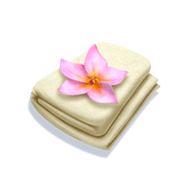 ทดลองเล่น Bikini Paradise ดื่มด่ำบรรยากาศชายหาดทะเลฮาวาย 21 บิกินี่พาราไดซ์_towel