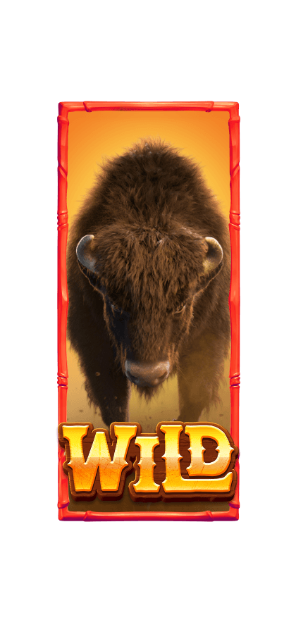 ทดลองเล่น Buffalo Win การผจญภัยของราชากระทิงแห่งหรงซาน 9 เงินรางวัลกระทิง_wild