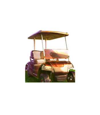 เกมกอล์ฟระดับโลก_cart